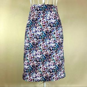 Party Day Skirt